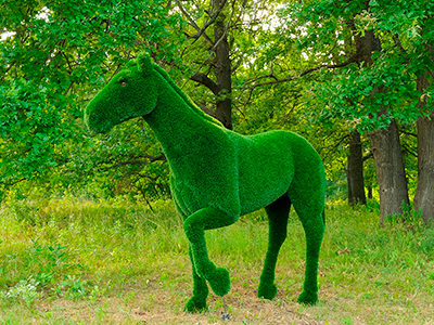 Топиари лошадь Пауль - газон Deluxe