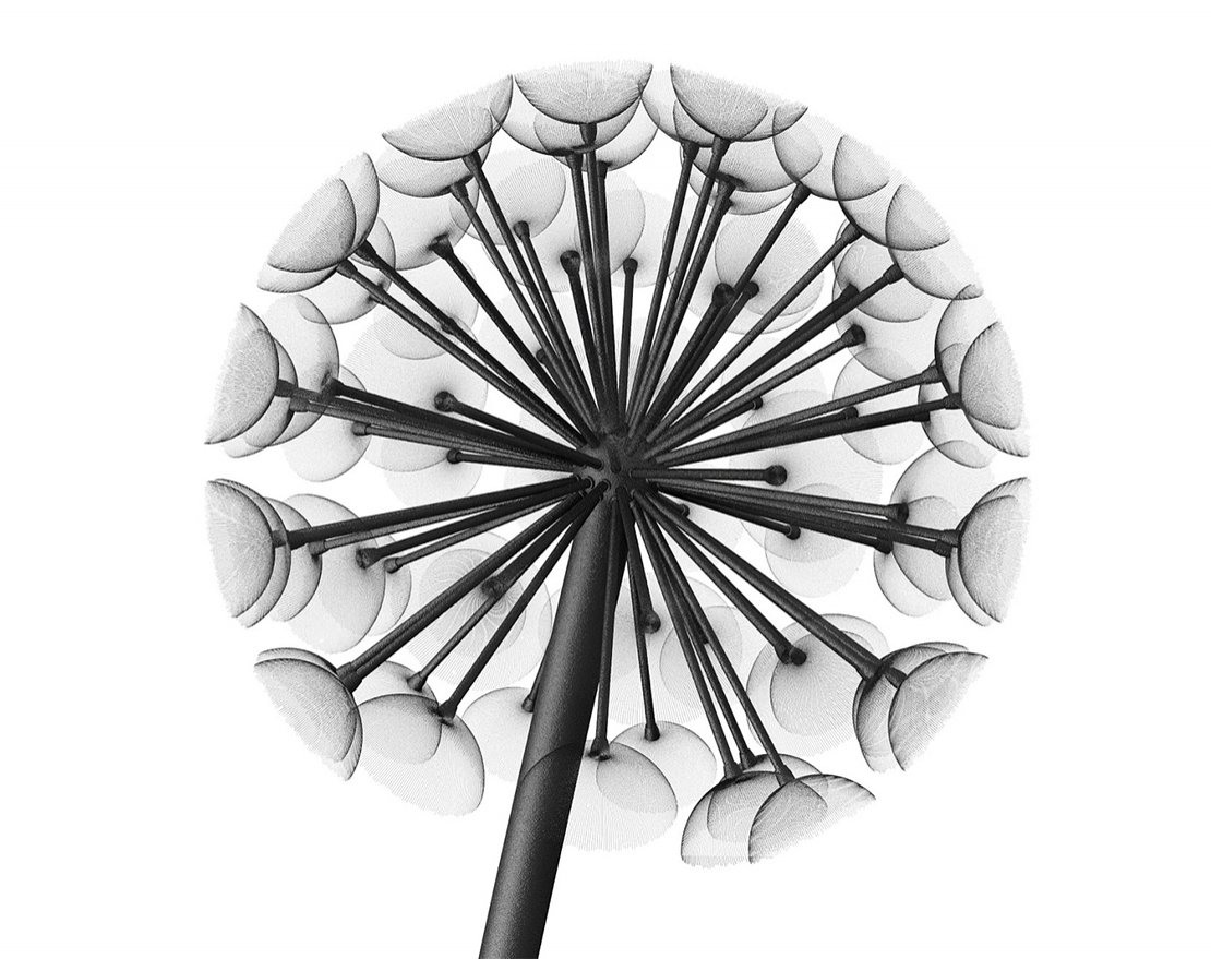 Фонарь уличный Данди 4м/1000 (комплект) - вид 4